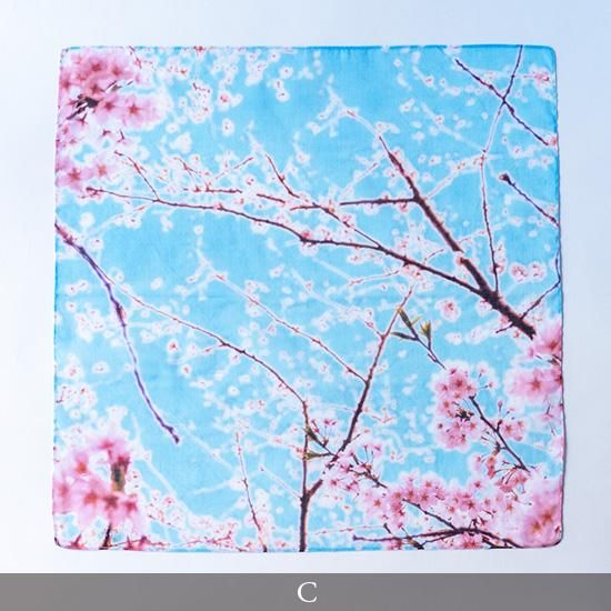 オーガニックコットン 桜-SAKURA- ラージハンカチーフ｜オーガニック