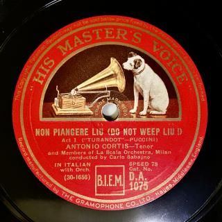 ȥ˥ƥ(Ten:1891-1952)ȥɥåȤֵ㤯ʥ塼סï⿲ƤϤʤ̡סʥץåˡ