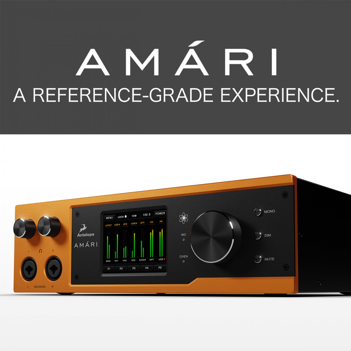 Antelope Audio AMARI 高性能DAC ヘッドフォン アンプ アンテロープ オーディオ