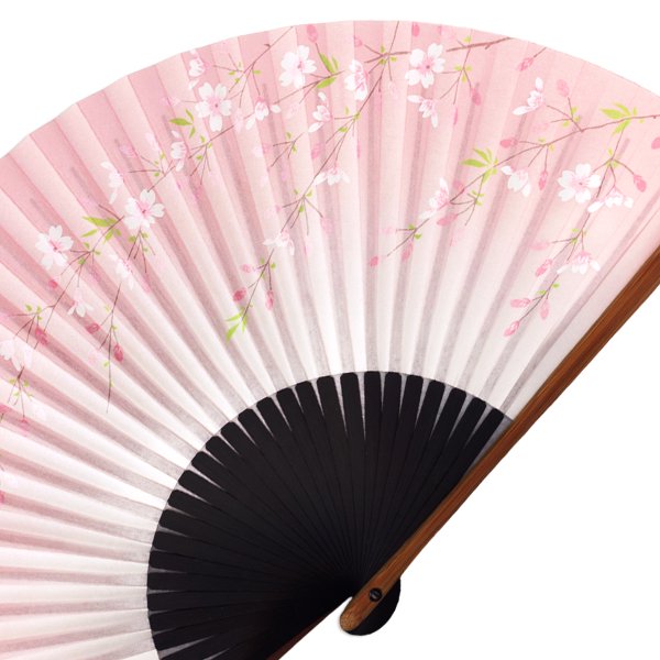 彩磁桜花文平皿 五枚組 (未使用 新品同様) 彩磁桜花文平皿 五枚組 (未使用 新品同様) 楽天市場】平皿 柄