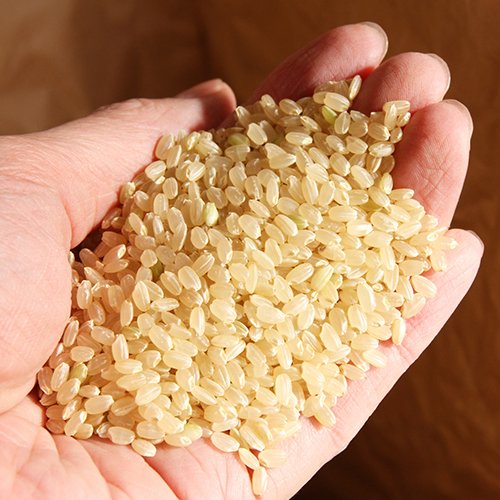貴重な木村式自然栽培米「朝日」で作った安心のプチプチ玄米ごはん商品画像