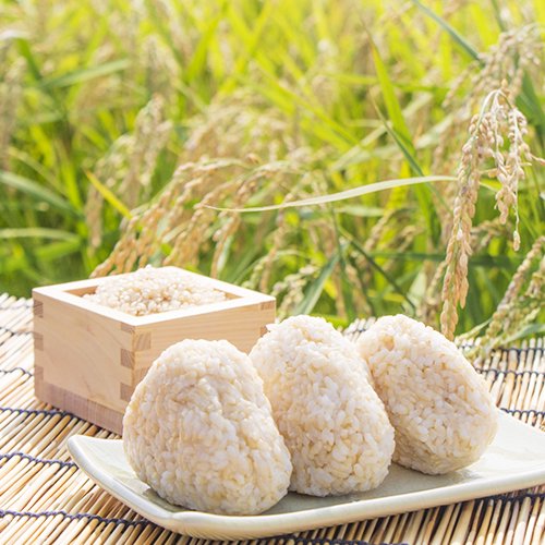 貴重な木村式自然栽培米「朝日」で作った安心のプチプチ玄米ごはん