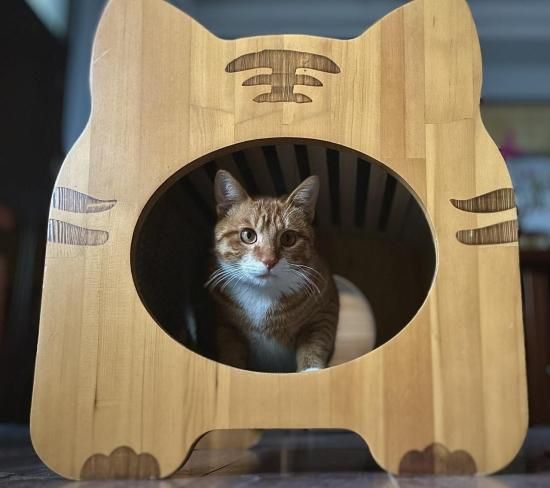 【スプーン補修跡あり】Villeroy&Boch ビレロイボッホ　サウナ　猫 スプーン補修跡あり】Villeroy&Boch ビレロイボッホ サウナ 猫