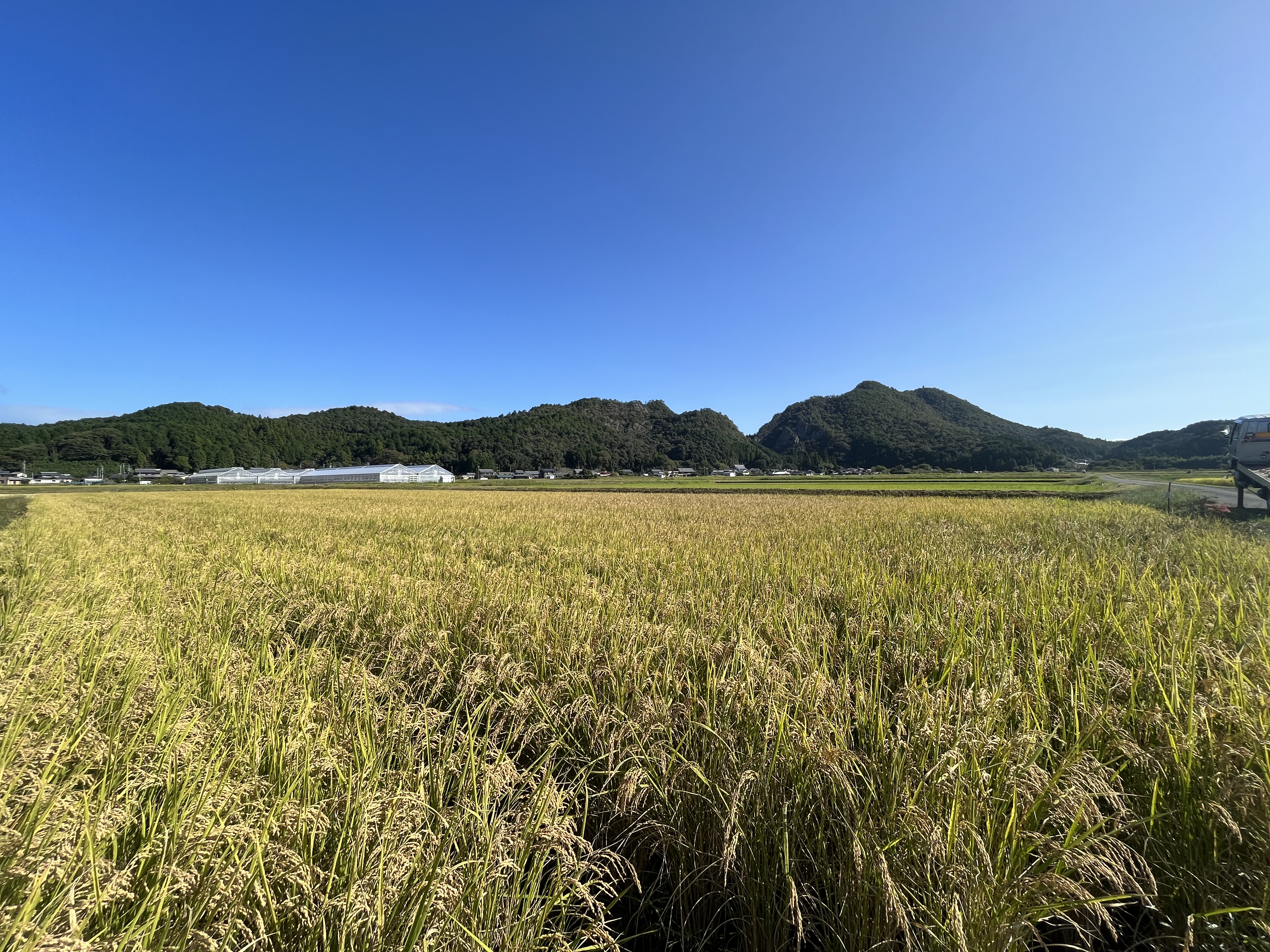 岐阜県産ハツシモ 10kg - GIFTS PREMIUM 公式オンラインショップ 岐阜県産ハツシモ 10kg - GIFTS PREMIUM 公式オンラインショップ