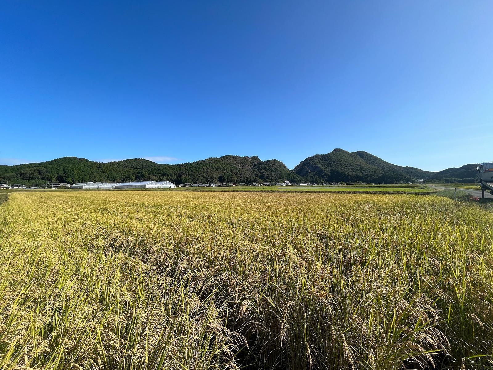 岐阜県産お米5種食べ比べ