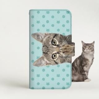 with NYAGO Ģ /  docomo Galaxy NYAGO Ρ 塼 ڥڥˤ - ߥ ꡼ ɥå ˤ ߥȥ꡼ 2297