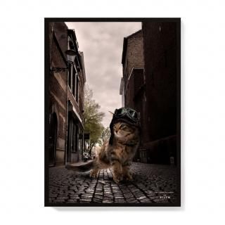 with NYAGO ȥݥ ǭ΢ϩϤ -CAT PLANETǭ (A5/A4 ݥΤ) 5202