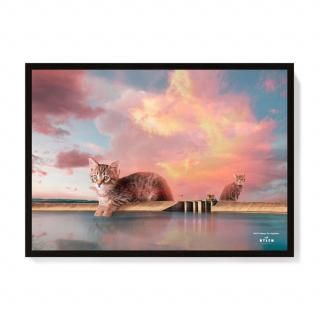 with NYAGO ȥݥ ǭŷο -CAT PLANETǭ (A5/A4 ݥΤ) 5206