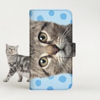 with NYAGO Ģ /  Google Pixel NYAGO ڤڤ ˤ㡼 ٤ڤꡣΡ  顼 ɥå ꡼ 饤 ֥롼 2287