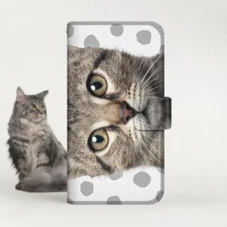 with NYAGO Ģ /  Google Pixel NYAGO ڤڤ ˤ㡼 ٤ڤꡣΡ  顼 ɥå ꡼ 饤 졼 2292