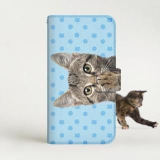with NYAGO Ģ /  Google Pixel NYAGO Ρ 塼 ڥڥˤ - ֥롼 ɥå ˤ ֥롼 2296