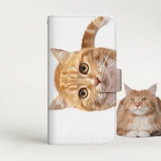 with NYAGO Ģ /  Google Pixel NYAGO Ρ 塼 Ťܤ ȥ ڥڥˤ ϤϤޤˤ㡩 2750
