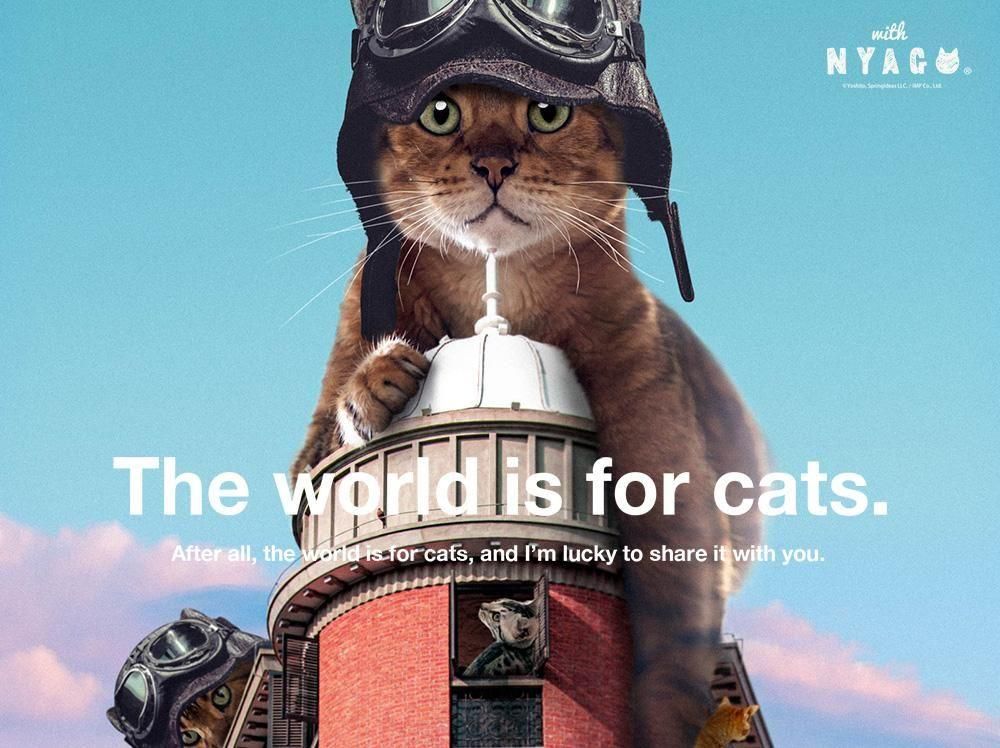 ごきぶりホイホイが猫の爪とぎに！？アース・ペットから猫用の