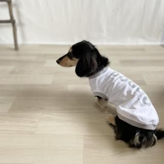 DOGGO/犬用Tシャツ(ホワイト)/愛犬とお揃い可の商品画像