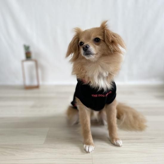 犬とペアルック 愛犬とペアルック カニスルプス Canislupus 犬服 インディゴ インディゴ犬服 おしゃれ犬服 犬とペアルック 愛犬とペアルック カニスルプス Canislupus 犬服 インディゴ インディゴ犬服 おしゃれ犬服