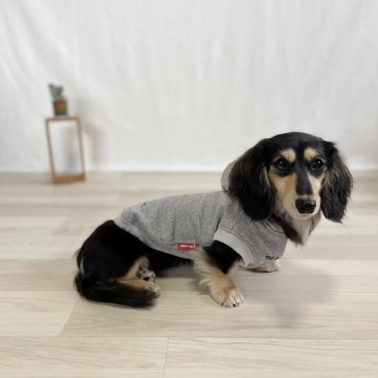 犬とペアルック,愛犬とペアルック,カニスルプス,canislupus,犬服