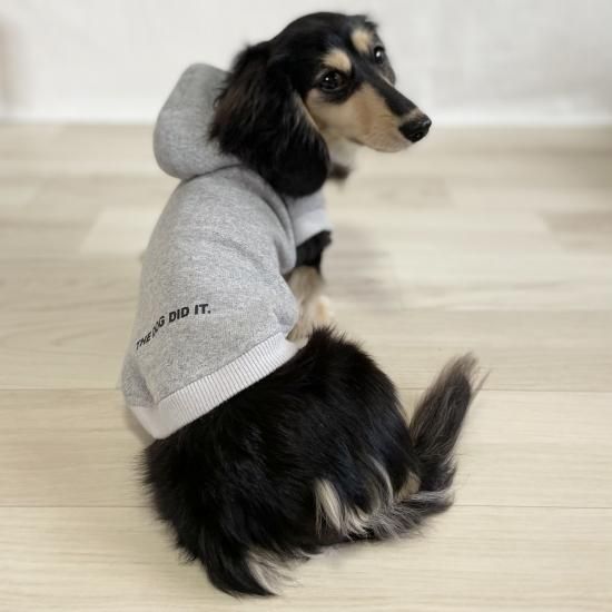 DIESEL 犬服　ペアルック DIESEL ドッグウェアコレクション第二弾｜DIESEL NEWS｜ディーゼル