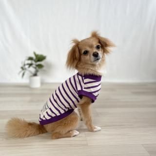 <img class='new_mark_img1' src='https://img.shop-pro.jp/img/new/icons63.gif' style='border:none;display:inline;margin:0px;padding:0px;width:auto;' />天竺ボーダーノースリーブ(キナリ×パープル)の商品画像