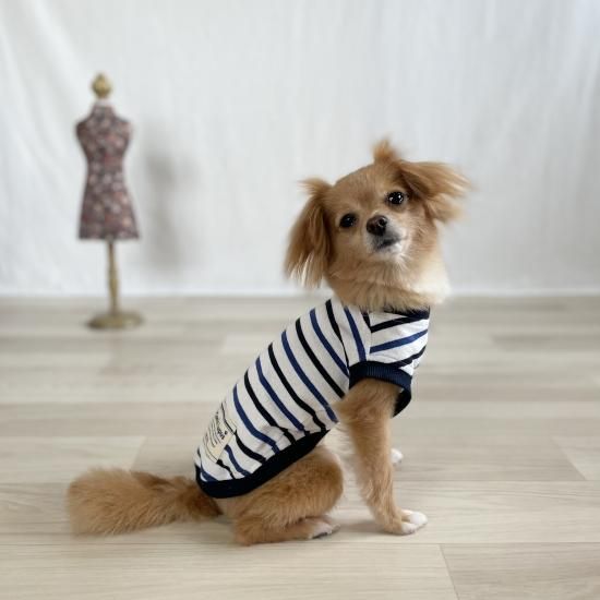 CANIS FAMILIARIS 犬デザインパンプス CANIS FAMILIARIS 犬デザインパンプス