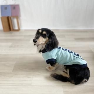 DOGGO/T(եȥ)/Ȥ·<img class='new_mark_img2' src='https://img.shop-pro.jp/img/new/icons63.gif' style='border:none;display:inline;margin:0px;padding:0px;width:auto;' />ξʲ