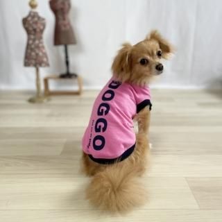 <img class='new_mark_img1' src='https://img.shop-pro.jp/img/new/icons63.gif' style='border:none;display:inline;margin:0px;padding:0px;width:auto;' />DOGGO/T(쥢)/Ȥ·Ĥξʲ