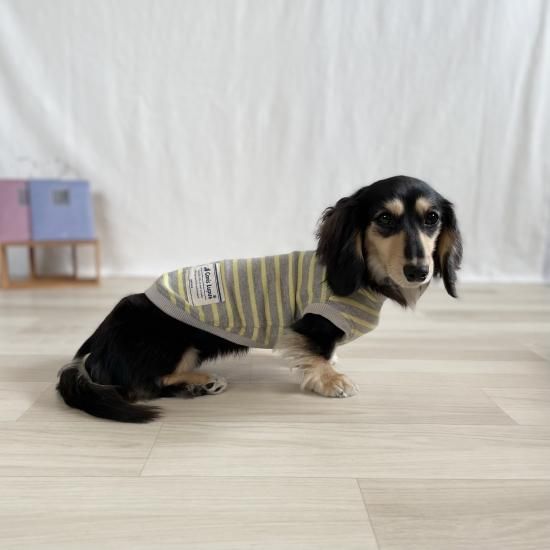ペット服カニスルプス,犬服カニスルプス,犬服ボーダー,犬服