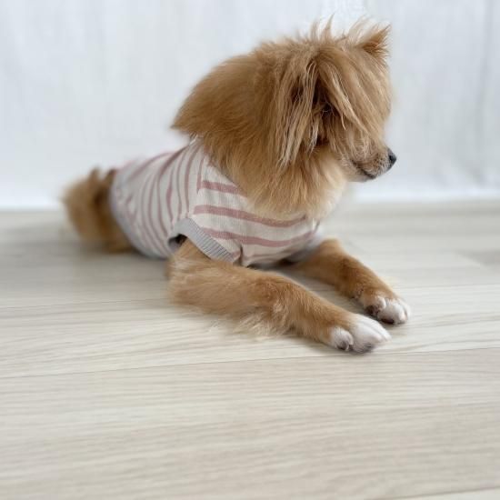 ペット服カニスルプス,犬服カニスルプス,犬服ボーダー,犬服シンプル,犬服日本製,犬服手作り,カニスルプス,犬服,ドックウェアーブランド ペット服カニスルプス,犬服カニスルプス,犬服ボーダー,犬服シンプル,犬服日本製,犬服手作り,カニスルプス,犬服,ドックウェアーブランド