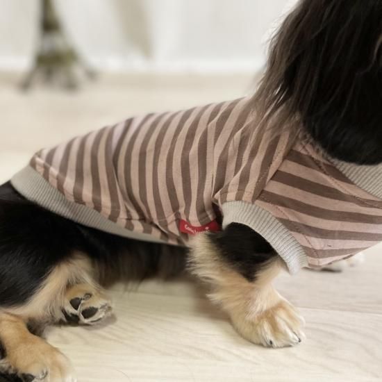 ペット服カニスルプス,犬服カニスルプス,犬服ボーダー,犬服