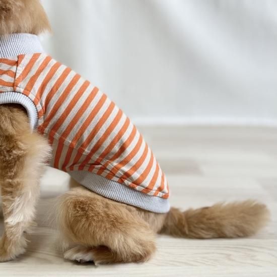 ペット服カニスルプス,犬服カニスルプス,犬服ボーダー,犬服