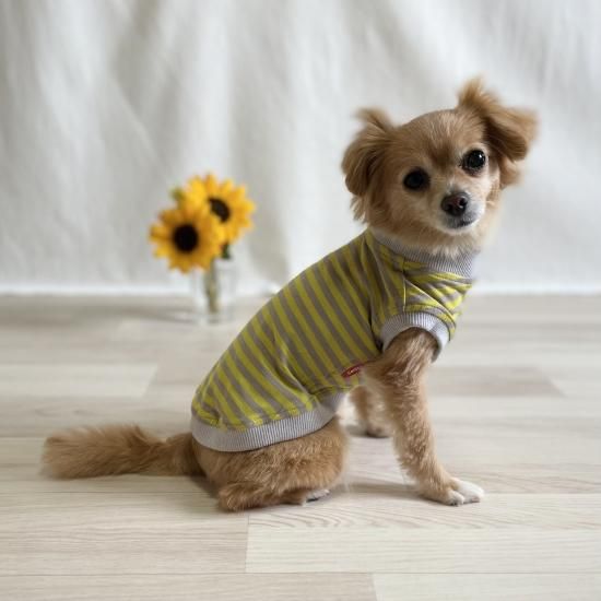 ペット服カニスルプス,犬服カニスルプス,犬服ボーダー,犬服 ペット服カニスルプス,犬服カニスルプス,犬服ボーダー,犬服