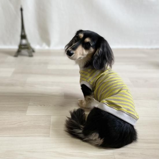 ペット服カニスルプス,犬服カニスルプス,犬服ボーダー,犬服 ペット服カニスルプス,犬服カニスルプス,犬服ボーダー,犬服