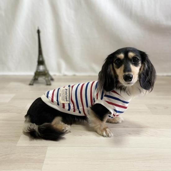 ペット服カニスルプス,犬服カニスルプス,犬服ボーダー,犬服シンプル,犬