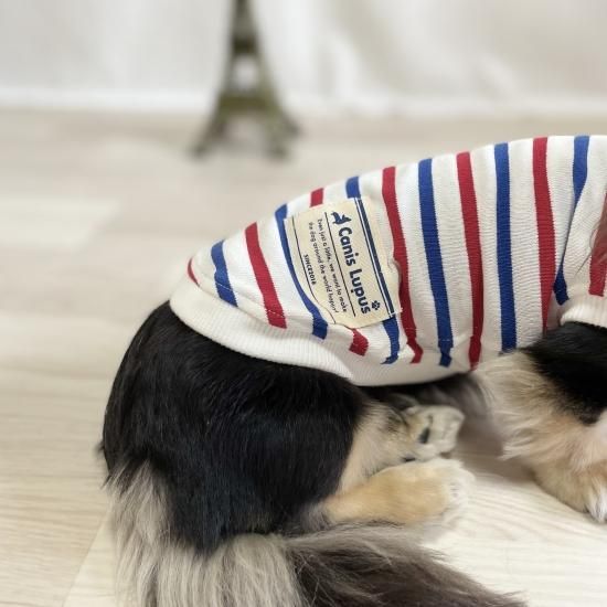 ペット服カニスルプス,犬服カニスルプス,犬服ボーダー,犬服