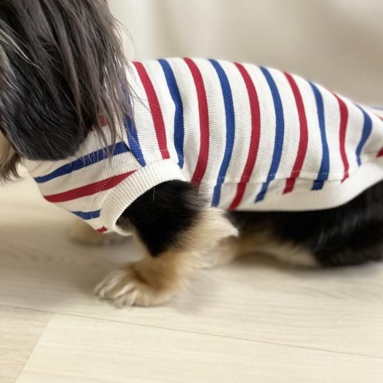 ペット服カニスルプス,犬服カニスルプス,犬服ボーダー,犬服
