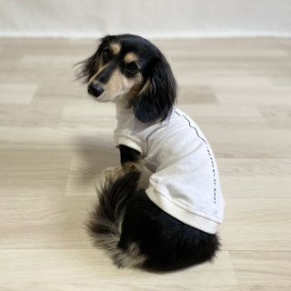 I WOOF YOU/犬用Tシャツ(ホワイト)/愛犬とお揃い可の商品画像