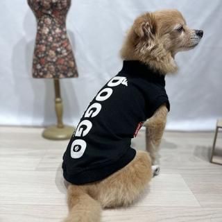 DOGGO ȯˢץ/T(֥åߥ١)/Ȥ·Ĥξʲ