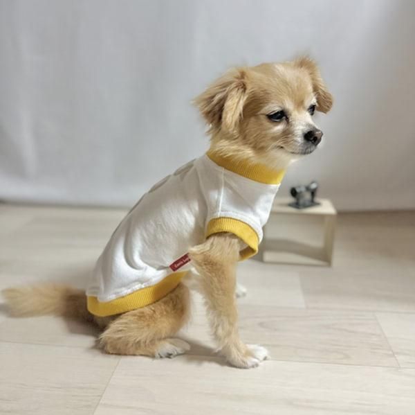 犬伏 fullofvigor-yshop_25-09084-1