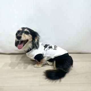 <img class='new_mark_img1' src='https://img.shop-pro.jp/img/new/icons63.gif' style='border:none;display:inline;margin:0px;padding:0px;width:auto;' />Dogs Rule!/T(ۥ磻)/Ȥ·Ĥξʲ