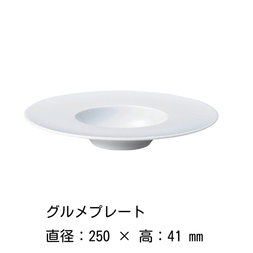 グルメプレート & カバー 25cm（白）エコス COSTA VERDE 磁器