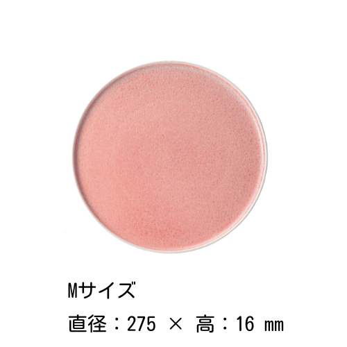 Ωץ졼 2428cmʥ󥸡˺   ǻ