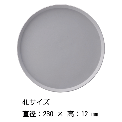 饦ɥץ졼 81216202428cmʳ˥ƥ磻  ARITA / 2016 