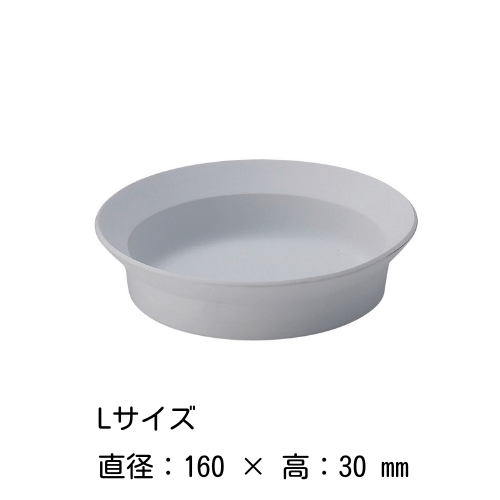 饦ɥǥץץ졼 81216202428cmʳ˥ƥ磻  ARITA / 2016 