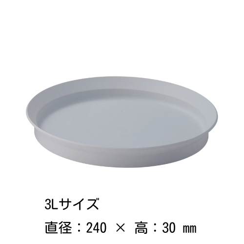 饦ɥǥץץ졼 81216202428cmʳ˥ƥ磻  ARITA / 2016 