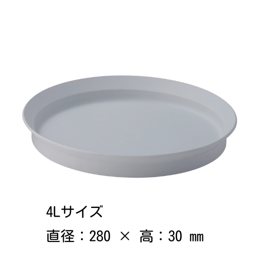 饦ɥǥץץ졼 81216202428cmʳ˥ƥ磻  ARITA / 2016 