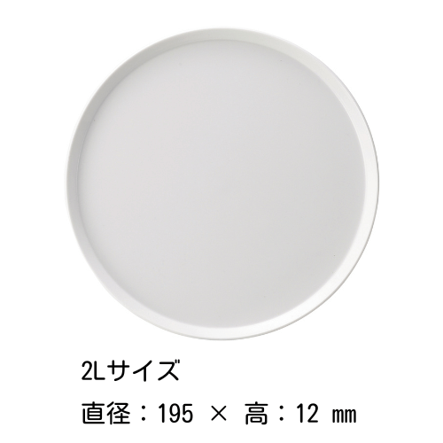 TY 饦ɥץ졼 81216202328cm˥ƥ磻  ARITA / 2016 