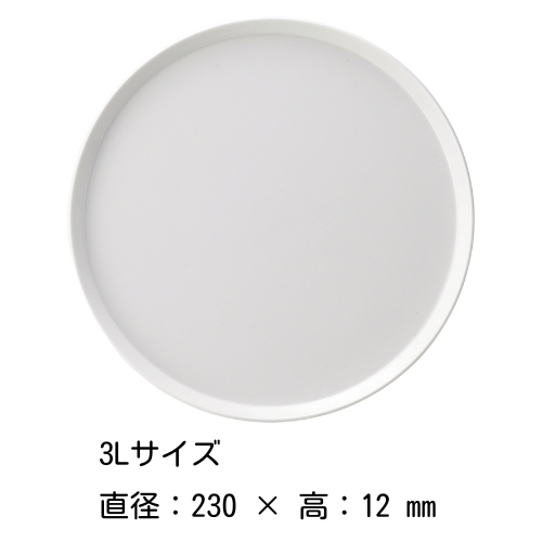 TY 饦ɥץ졼 81216202328cm˥ƥ磻  ARITA / 2016 