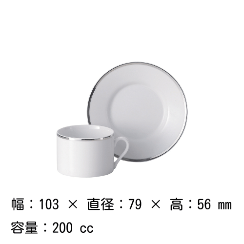 カップ ＆ ソーサー セット 200cc（プラチナ）トッカータ RAK PORCELAIN 磁器