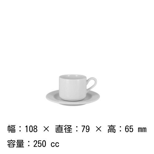 å󥰥ҡå   å 250cc˥ RAK PORCELAIN 