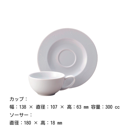 å &  300cc˥ COSTA VERDE 