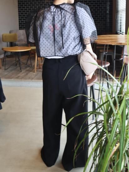 epa organdy dot blouse“BLK” ドットオーガンジー - メルカリ